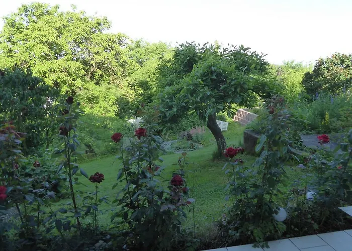 Dora Apartment Michelstadt